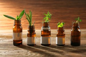 CBD OIL BRANDS ONLINE