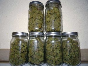 cbd flower online
