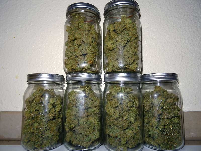 cbd flower online